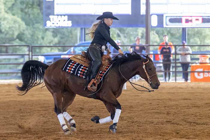Kate Buchanan of Auburn Equestrian
